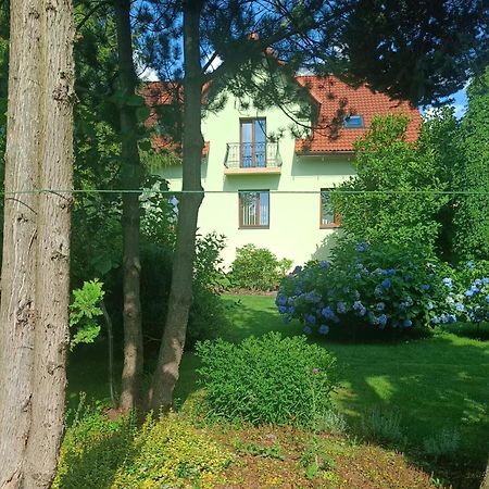 Appartamento Pod Modrzewiami Milówka Esterno foto