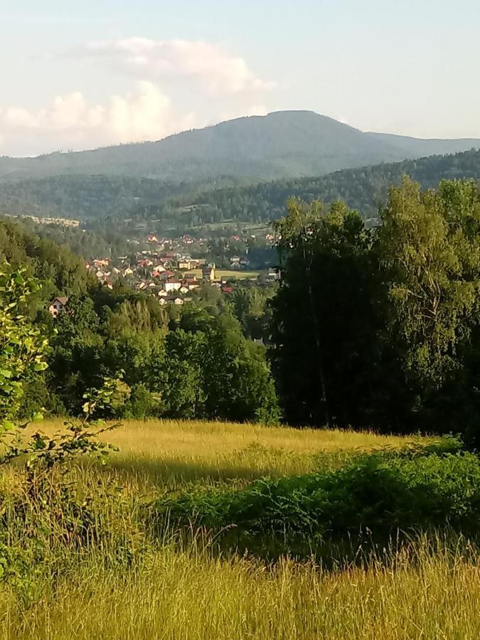 Appartamento Pod Modrzewiami Milówka Esterno foto