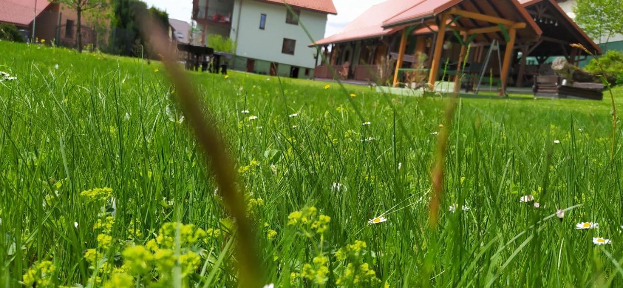 Appartamento Pod Modrzewiami Milówka Esterno foto