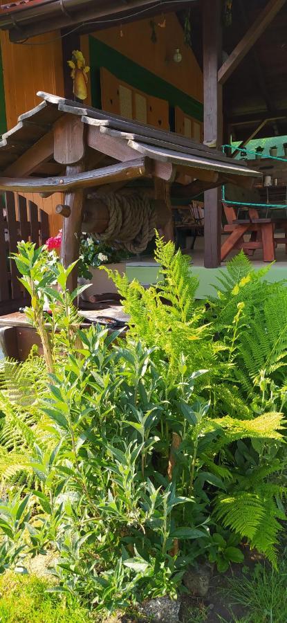 Appartamento Pod Modrzewiami Milówka Esterno foto