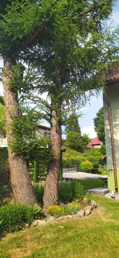 Appartamento Pod Modrzewiami Milówka Esterno foto