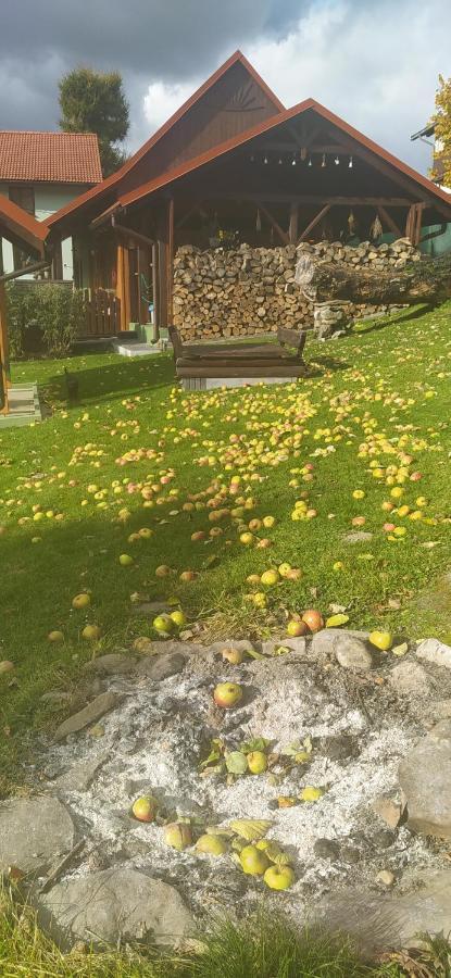 Appartamento Pod Modrzewiami Milówka Esterno foto