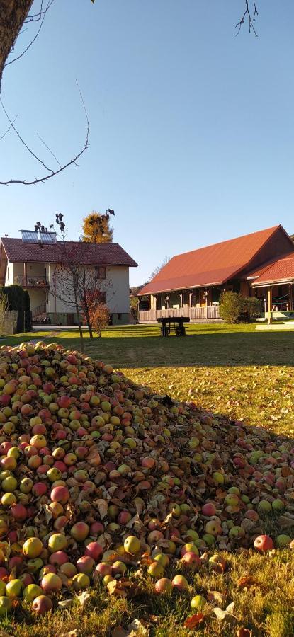 Appartamento Pod Modrzewiami Milówka Esterno foto