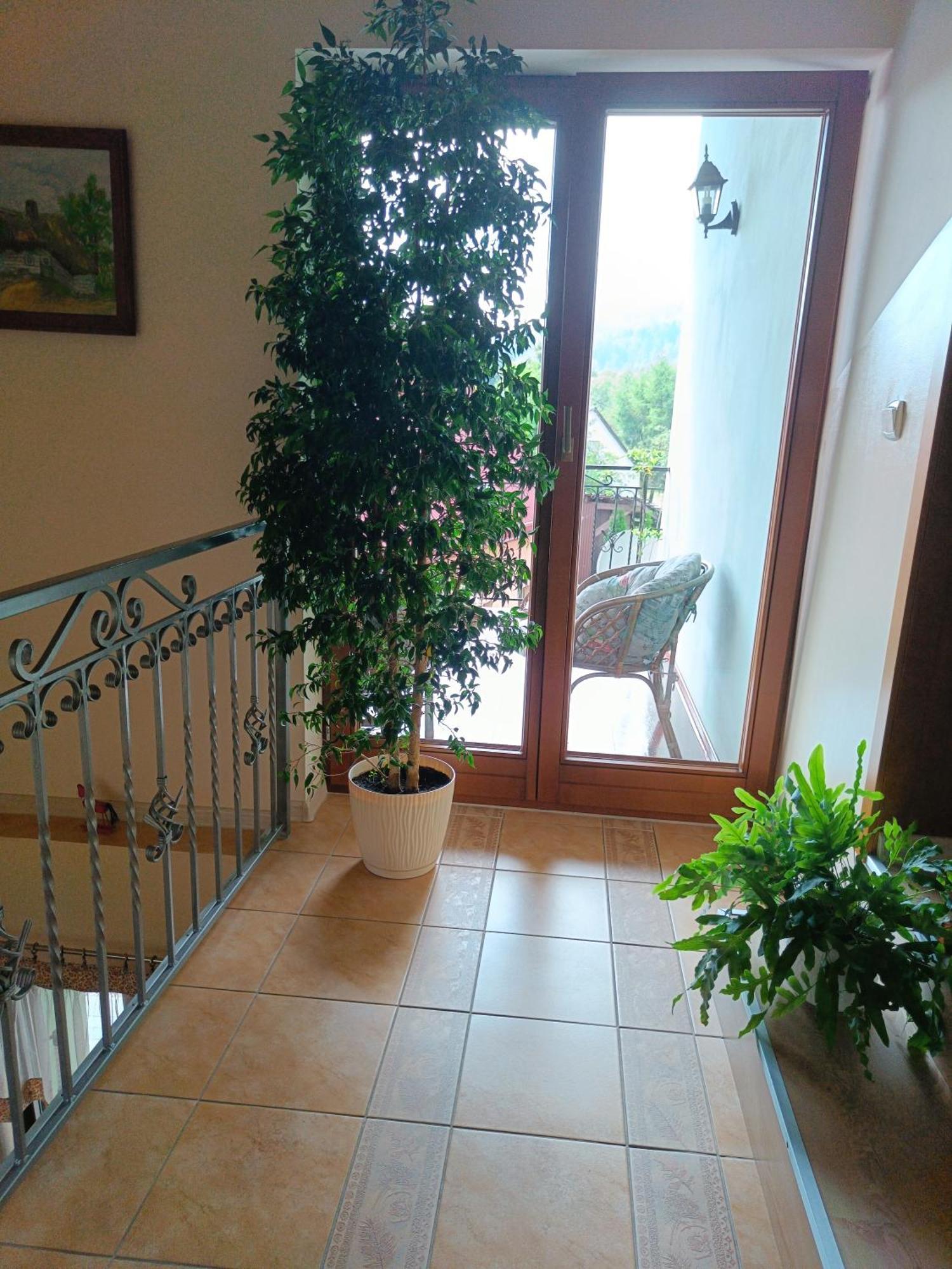 Appartamento Pod Modrzewiami Milówka Esterno foto