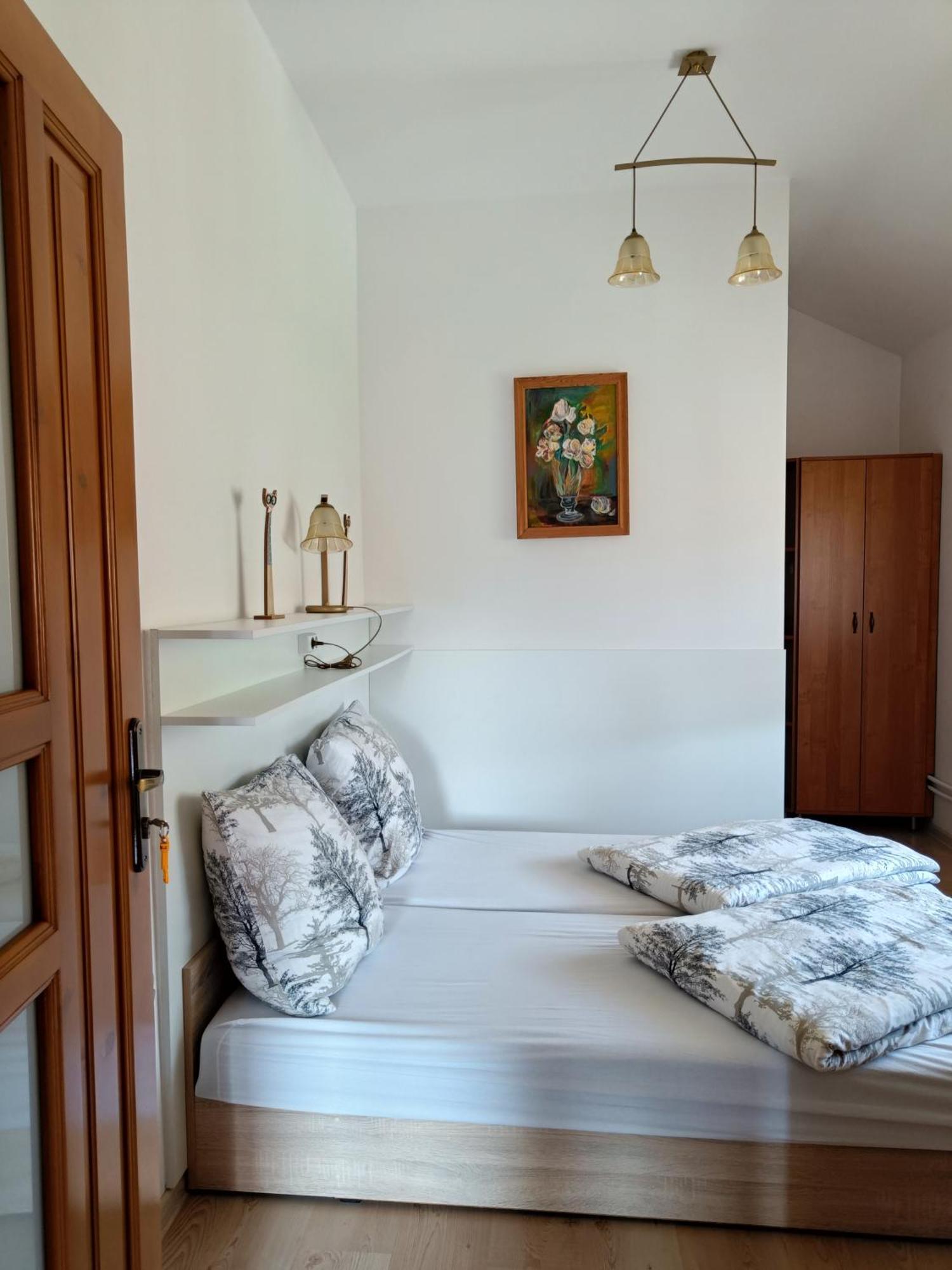 Appartamento Pod Modrzewiami Milówka Esterno foto