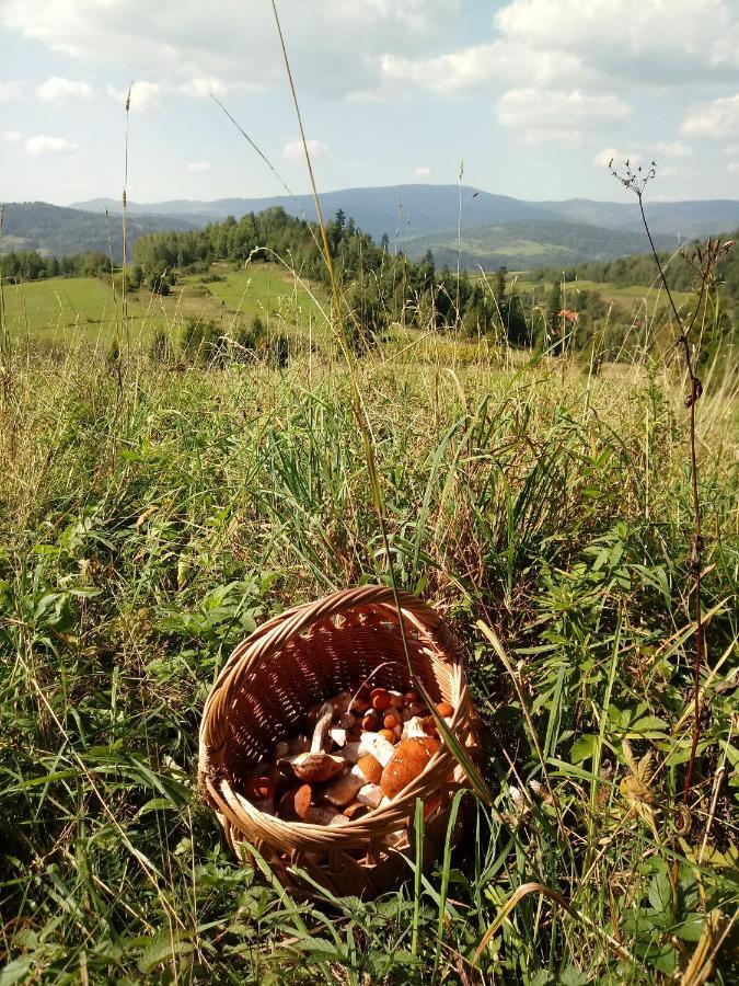 Appartamento Pod Modrzewiami Milówka Esterno foto